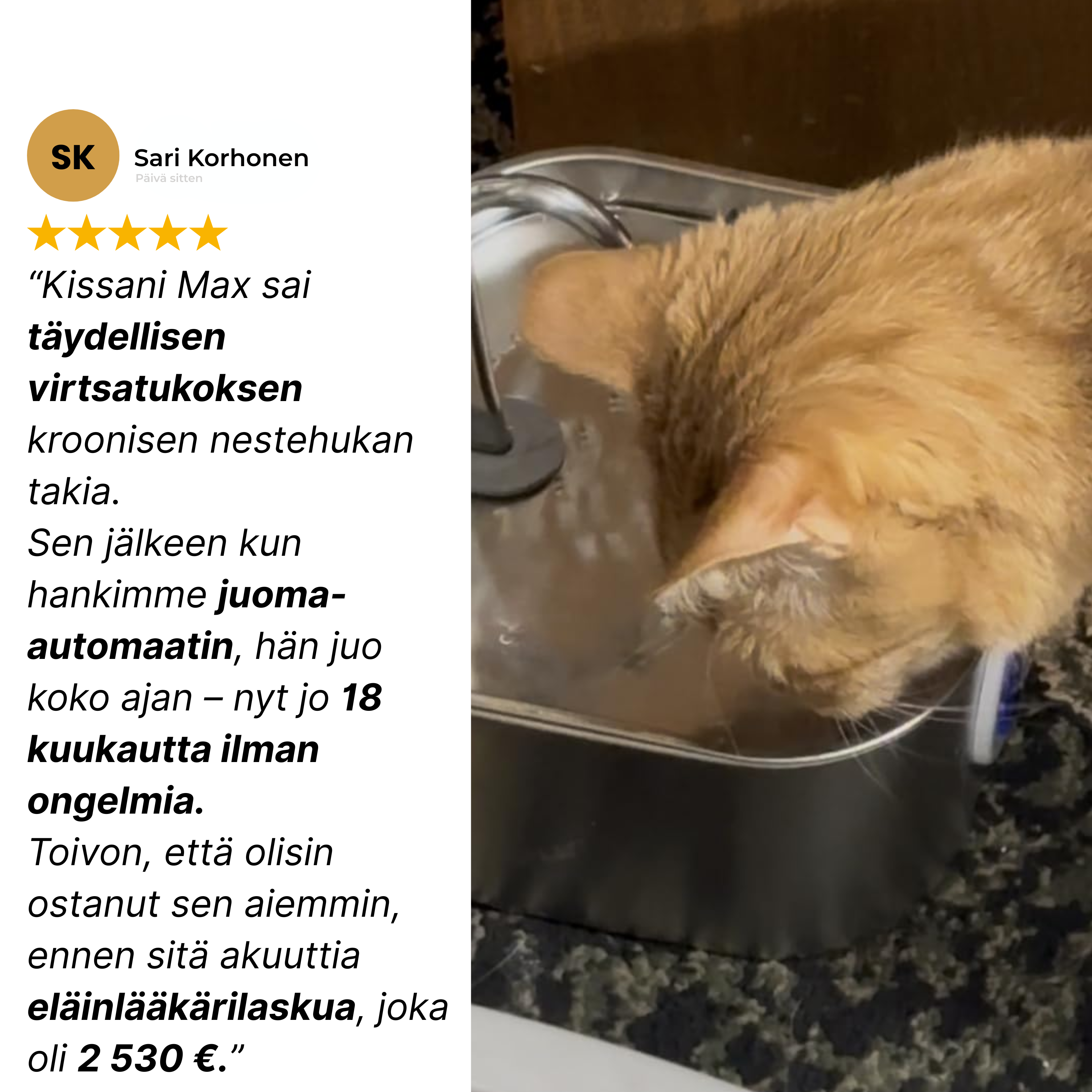 Cattellan Vesiautomaatti Ruostumattomasta Teräksestä