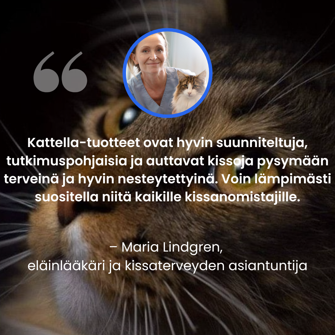 Cattellan Vesiautomaatti Ruostumattomasta Teräksestä